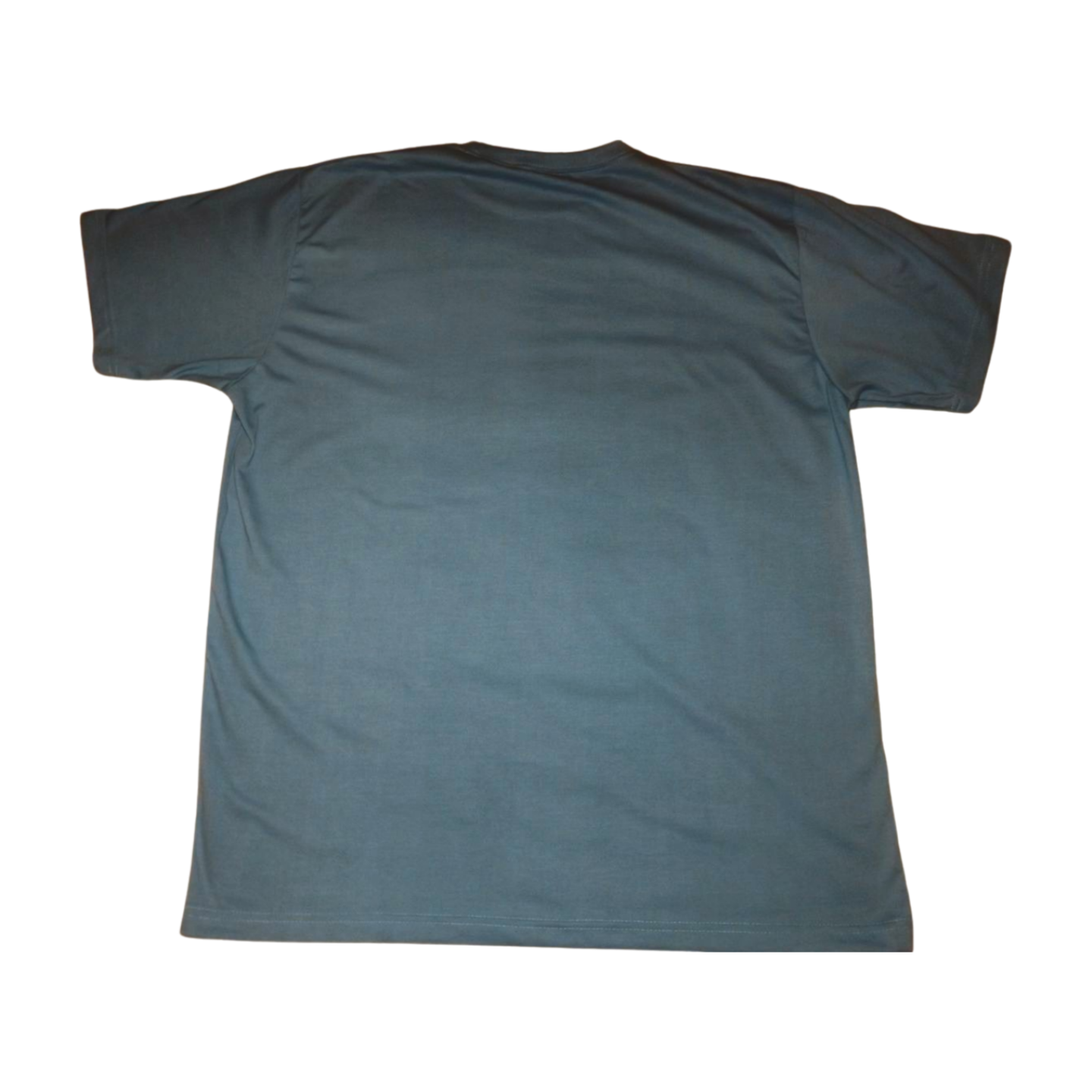 Short sleeve logo t-shirt (light blue)